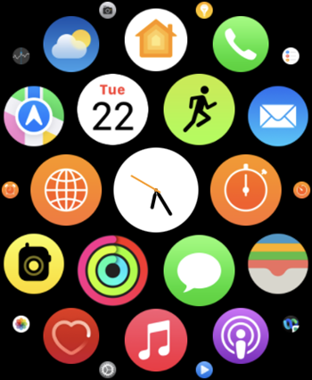 Apple Watch Grid View