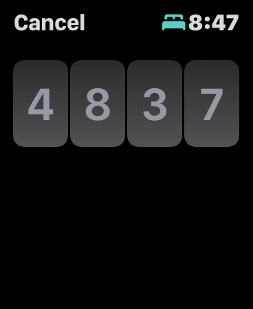 Apple Watch Passcode