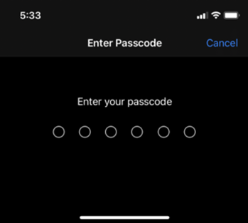 Enter Passcode