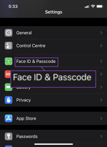 FaceID and passcode entry