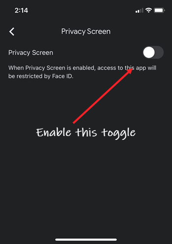 Privacy Screen on iPhone