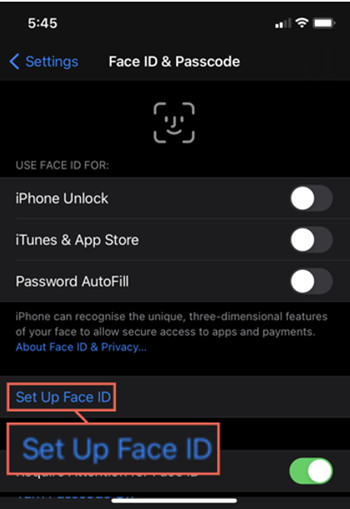Setup FaceID on iPhone