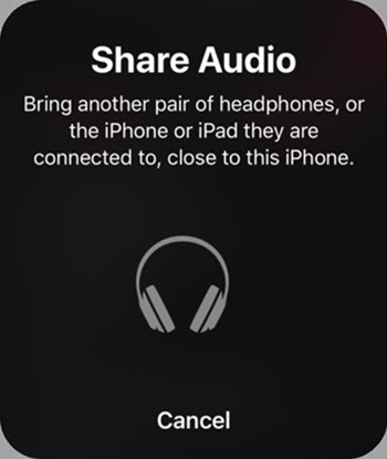 Share audio prompt