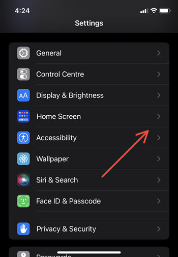 Accessibility Settings