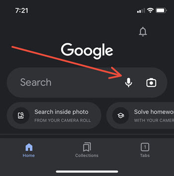 Google App Mic Icon