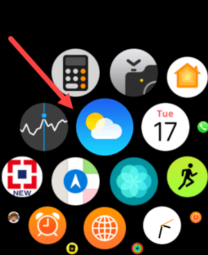 Weather app Apple Watch