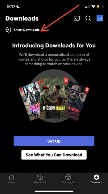 Netflix Smart Downloads