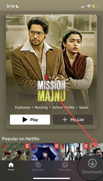 Netflix App Downloads Option