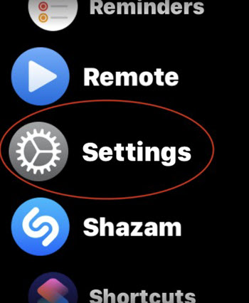 Settings in Apple Watch