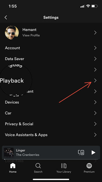 Spotify Playback option