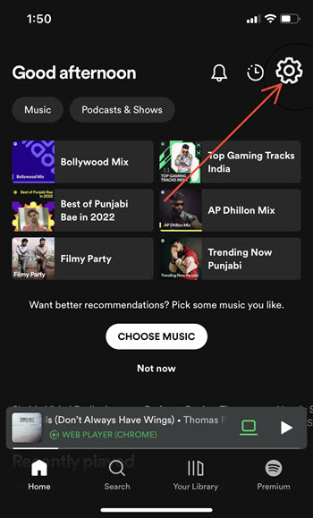 Spotify Settings