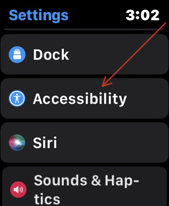 watchOS Accessibility Settings