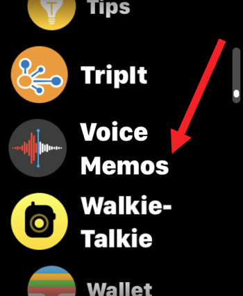 Voice Memos for Apple Watch