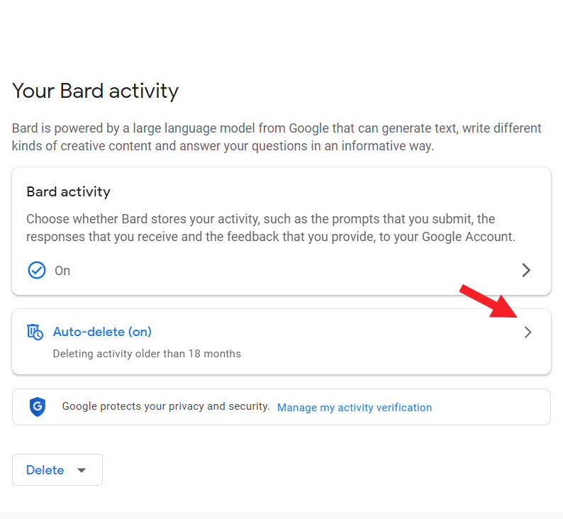 Auto-delete Bard Activity