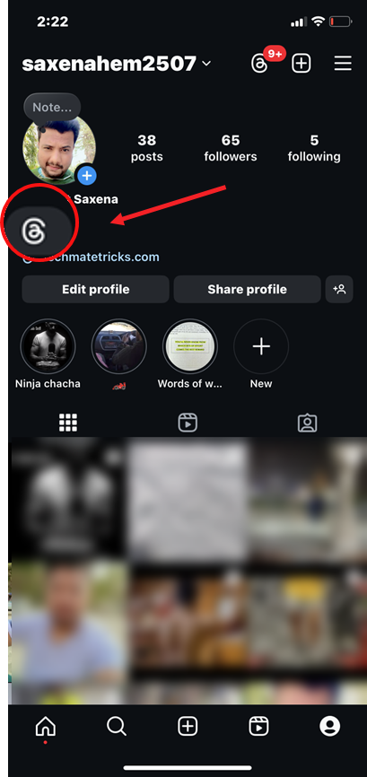 Threads Badge on Instagram Profile