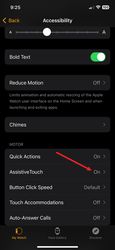 WatchApp Assistive Touch