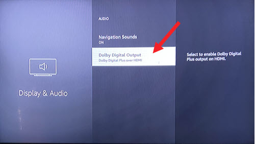 Dolby Digital Output