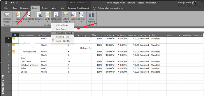 Gantt Chart Report Tab